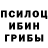 Псилоцибиновые грибы GOLDEN TEACHER Kristina Jong