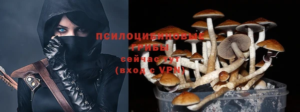 СК Алзамай